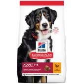 Hill's Science Plan для взрослых собак крупных пород, с курицей - полноценный рацион для взрослых собак крупных/гигантских пород , 12 кг