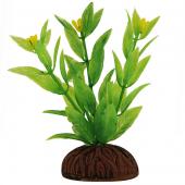 Растение 0861 "Альтернантера" зеленая, 8 см