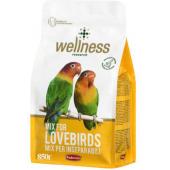 Корм полнорационный Wellness для средних попугаев, 0,85кг