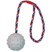 Игрушка "Мяч на веревке" для собак, натуральный каучук (3305), 6*30 см