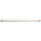 Лампа T8 белая люминесцентная, 10Вт, 33 см.