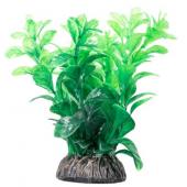 Растение "Людвигия" зеленая, 10 см