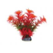 Растение 1399 "Амбулия" красная, 10 см
