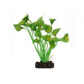 Растение 1802 "Спатифиллум" зеленый, 20 см