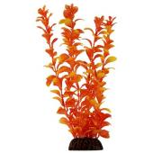Растение "Людвигия" оранжевая, 20 см