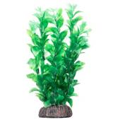 Растение "Людвигия" зеленая, 20 см 