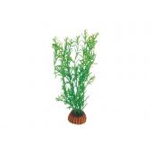 Растение 1991 "Гетерантера" зеленая, 20 см
