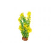 Растение 1998 "Амбулия" жёлто-зеленая, 20 см