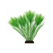 Растение 2568 "Эгерия" зеленая, 25 см