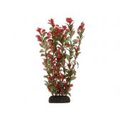 Растение 2952 "Людвигия" красная, 30 см