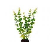 Растение 2962 "Бакопа" зеленая, 30 см