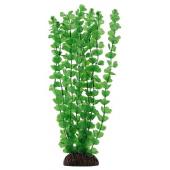 Растение "Бакопа" зеленая, 30 см