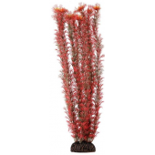Растение 4687 "Амбулия" красная, пластик/керамика, 40 см