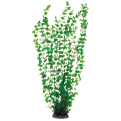 Растение 5558 "Бакопа" зеленая, пластик/керамика, 50 см