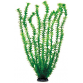 Растение 5568 "Амбулия" зеленая, пластик/керамика, 50 см