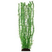 Растение 5570 "Лигодиум" зеленый, пластик/керамика, 50 см