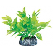 Растение 0806 "Альтернантера" зеленая, 8 см