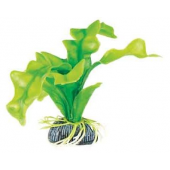 Растение 1314 "Апоногетон" зеленый, 10 см