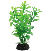 Растение 1030LD "Альтернантера" зеленая, пластик/керамика, 10 см