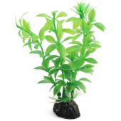 Растение 1047LD "Гемиантус" зеленый, пластик/керамика, 10 см.