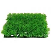 Растение 0525 "Коврик" зеленый, 25*25*3 см